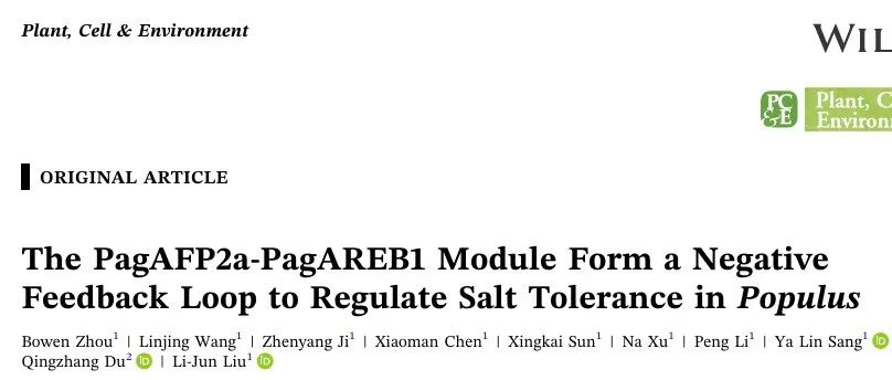 文献分享|PagAFP2a - PagAREB1模块形成负反馈回路调节杨树耐盐性