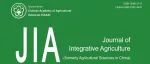JIA 2025-6期 发布