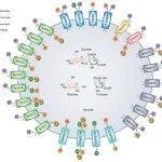 优秀！西北农林科技大学本科生共一作者发Nature Plants！