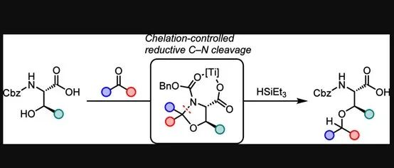Chelation-Controlled Reductive C&#8722;N Cleavage of N,O&#8209;Acetals