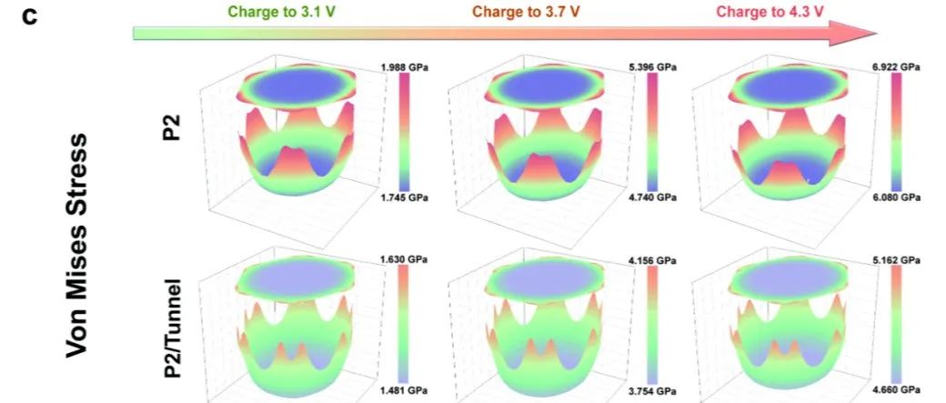 温州大学肖遥ACS Energy Letters：多功能隧道结构调控实现高性能钠电层状氧化物
