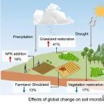 GCB|西北农林科技大学邓蕾研究员团队揭示全球变化下微生物碳利用效率的响应机制及其土壤固碳效应