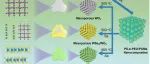 东南大学ACS Sensors：协同自组装制备有序介孔WSe&#8322;/WO&#8323;半导体异质结构用于室温NO&#8322;快速传感