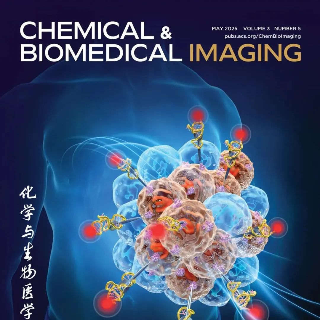Chemical & Biomedical lmaging 2025年第五期发布：适配体、电化学发光、单分子荧光成像、近红外探针