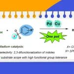 【Org. Lett.】广州医科大学袁克东课题组：Pd(II)/Cu(I)协同催化吲哚的C2/C3双C–H官能化反应