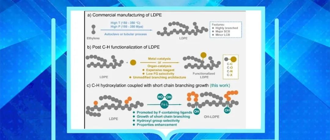 【Angew. Chem.】川大王玉忠团队：铁催化LDPE的C-H键羟基化耦合短支链生长