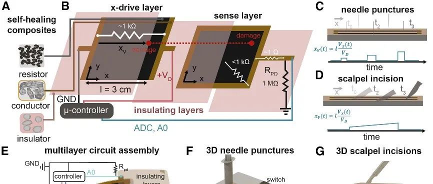 斯坦福大学鲍哲南教授团队 Device：具有毫米级分辨率的损伤感知、自我修复的电子皮肤