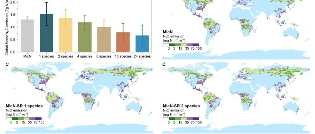 National Science Review | 植物多样性增强可减少全球森林土壤氧化亚氮排放