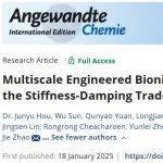 复旦大学《Angew》：多尺度工程仿生固态电解质打破刚度-阻尼权衡！