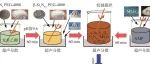 基于Si3N4晶须/石墨烯协同减摩的Si3N4陶瓷摩擦学性能研究
