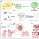 Theranostics | 电子科技大学医学院魏国清/巨容团队发表最新研究成果