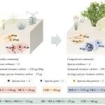 兰州大学肖洒教授团队《Ecology Letters》最新成果！