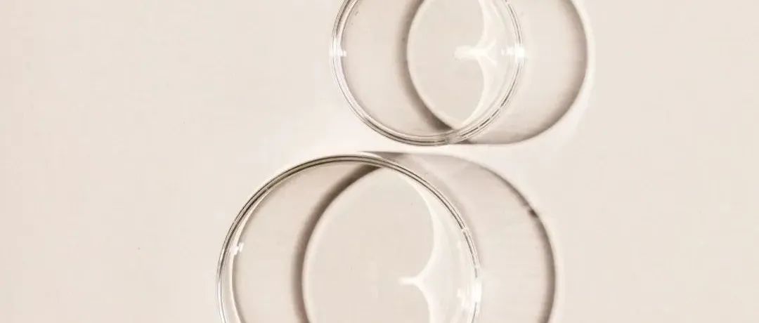 《食品科学》：东北农业大学孟祥晨教授等：基于糖苷水解酶家族基因的双歧杆菌比较基因组学分析及其在两歧双歧杆菌分离中的应用
