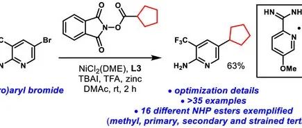 Decarboxylative Cross-Electrophile Coupling of NHP Esters
