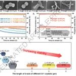 福州大学最新Nature