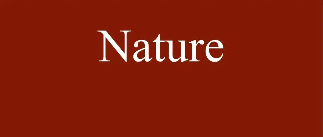 Nature正刊！博士生独立一作！北师大张立强教授团队最新研究成果
