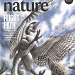 《自然》封面故事：始祖鸟的飞行之道︱2025年5月29日刊