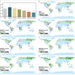 National Science Review | 植物多样性增强可减少全球森林土壤氧化亚氮排放