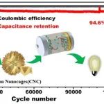 南京大学《ACS AEM》：煤焦油沥青衍生碳纳米笼，用于高性能超级电容器