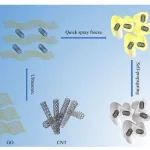 兰州大学《ACS AEM》：简易制备碳纳米管/石墨烯复合材料，用于高性能锂离子电容器