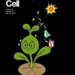 封面文章！中科院研究员团队在《Cell》子刊发表研究成果