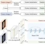 Information Fusion | 华中科技大学张旭明副教授提出三维医学图像融合新范式