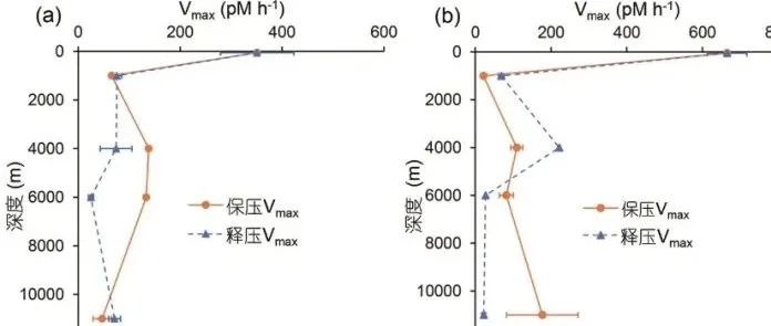 马里亚纳海沟深渊微生物胞外酶的保压酶活性特征
