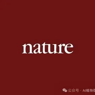出手就是“王炸”！今年已发表两篇《Cell》、又发一篇《Nature》，完成双“帽子戏法”！该团队持续引领植物微生物共生领域创新