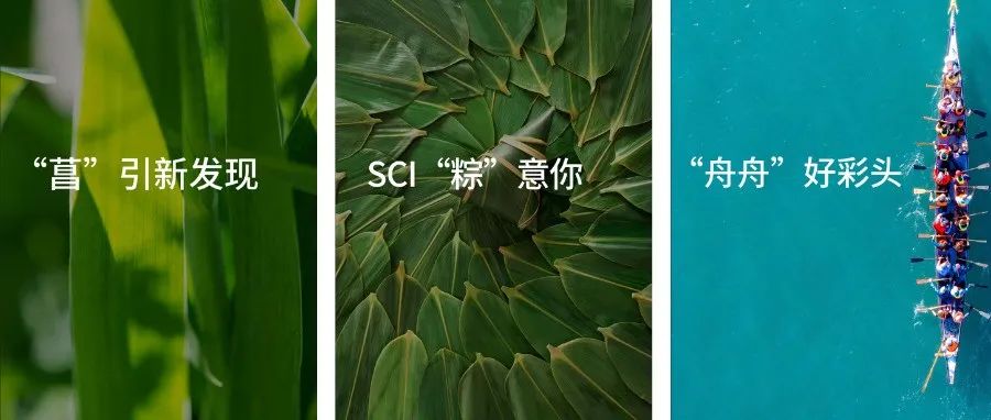 您有一份端午祝福待查收