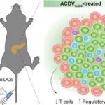苏州大学汪超ACS Nano：高压均质制备人工耐受性树突状细胞源性囊泡以实现对1型糖尿病的有效免疫治疗