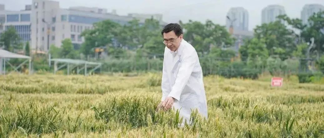 祝贺！河南大学宋纯鹏教授