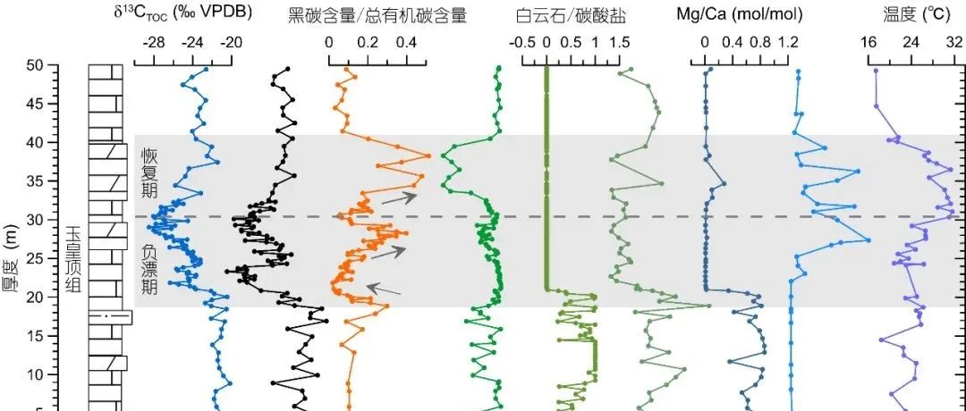 中国大陆古新世-始新世极热事件时期野火的时空演变