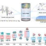 AEM：多元阴离子化学调控策略增强低温下聚合物电解质-电极界面稳定性