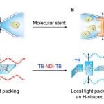 浙江大学朱利平教授课题组 Adv. Sci.：巧用“分子支架”策略在聚酰亚胺膜内构筑有机分子快速传输通道