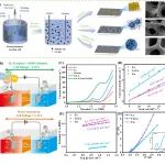 大连工业大学王海松教授团队 Small：铜掺杂羟基氧化钴催化5-羟甲基糠醛高效电化学氧化