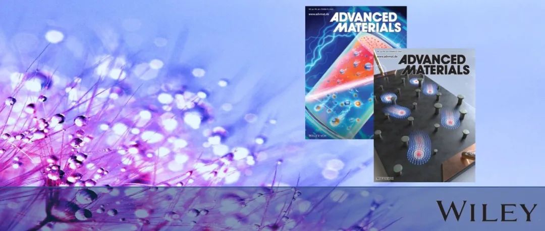 解锁大自然的百宝箱—AM出版生物聚合物专刊