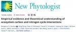 New Phytologist | 陆地生态系统中碳氮耦合机制的挑战与意义