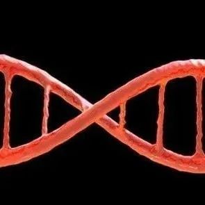 Science子刊 | 为什么同性恋没有在进化中消失？张建之团队给出了新的解释
