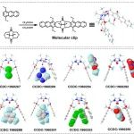 南京大学王乐勇、林晨团队《Coordin. Chem. Rev.》：基于主客体系统的结晶伴侣在难结晶分子结构鉴定中的研究进展