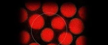 水凝胶微球助力药物控释研究！