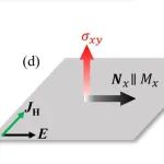 (纯计算)美国霍华德大学Phys. Rev. B: 二维交错磁体中的自发反常霍尔效应