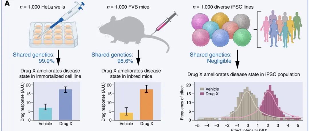 Nat Rev Drug Discov｜FDA逐步淘汰动物毒性测试的计划现实吗