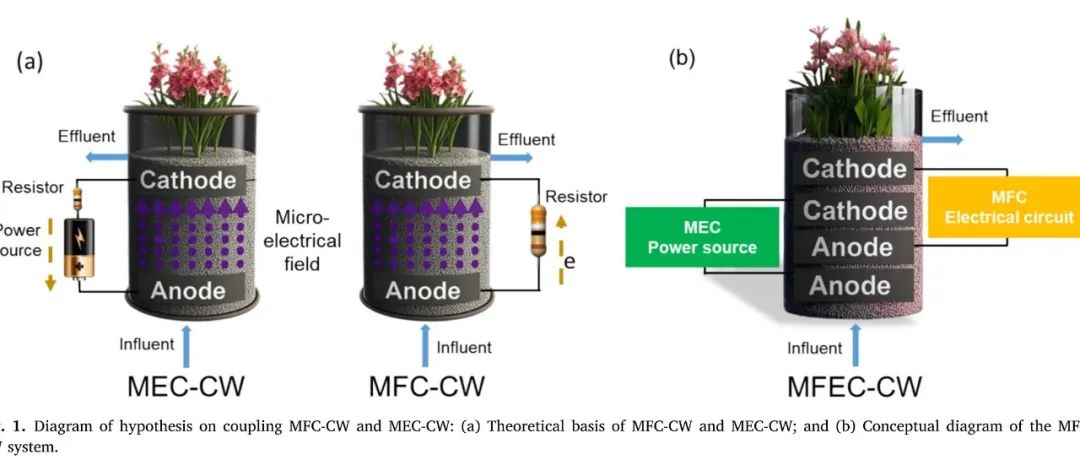 【文献精选】Chem. Eng. J. |首次探索微生物燃料电池和微生物电解电池同时应用于人工湿地的可行性