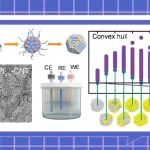 【ACS Catal.】Aupt纳米团簇中电催化析氢反应的异常增强