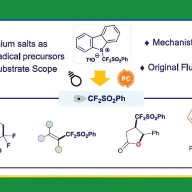 【JACS Au】诺曼底大学Tatiana Besset团队：一种新型氟烷基自由基前体的开发及其应用