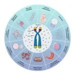 Aging Dis | 衰老背后的真相：科学家揭示衰老标志物的因果关系
