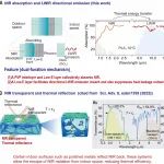 广工高粱课题组 Adv. Mater.: 基于聚乙烯醇缩醛相变液体的全季节非对称热致变色窗