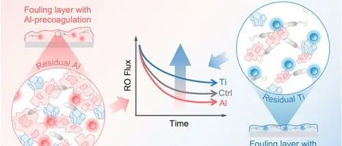 北京林业大学梁帅团队ES&T：钛盐预混凝调控微生物生境有效缓解RO膜污染
