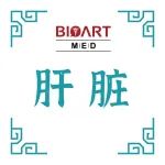 Cell Reports丨类器官结合多组学揭示调控肝脏再生修复启动的关键因子