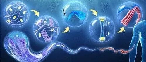 东华大学朱美芳/侯恺团队 Chem. Rev.: 水凝胶纤维 - 设计、合成、应用和未来